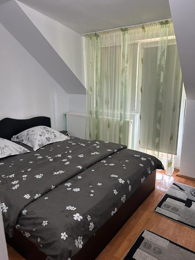 Cabana Vladimir Cucuceni 외부 사진